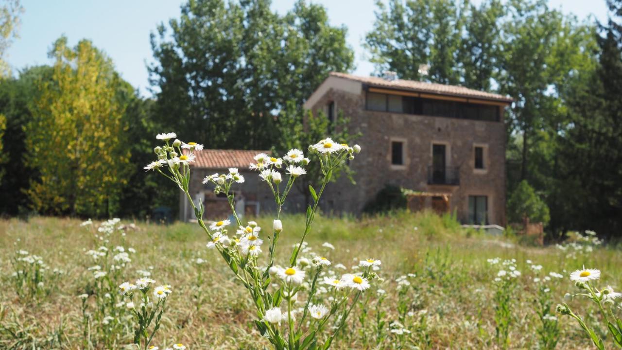 Ca N'Aliguer Guest House Ripoll Bagian luar foto